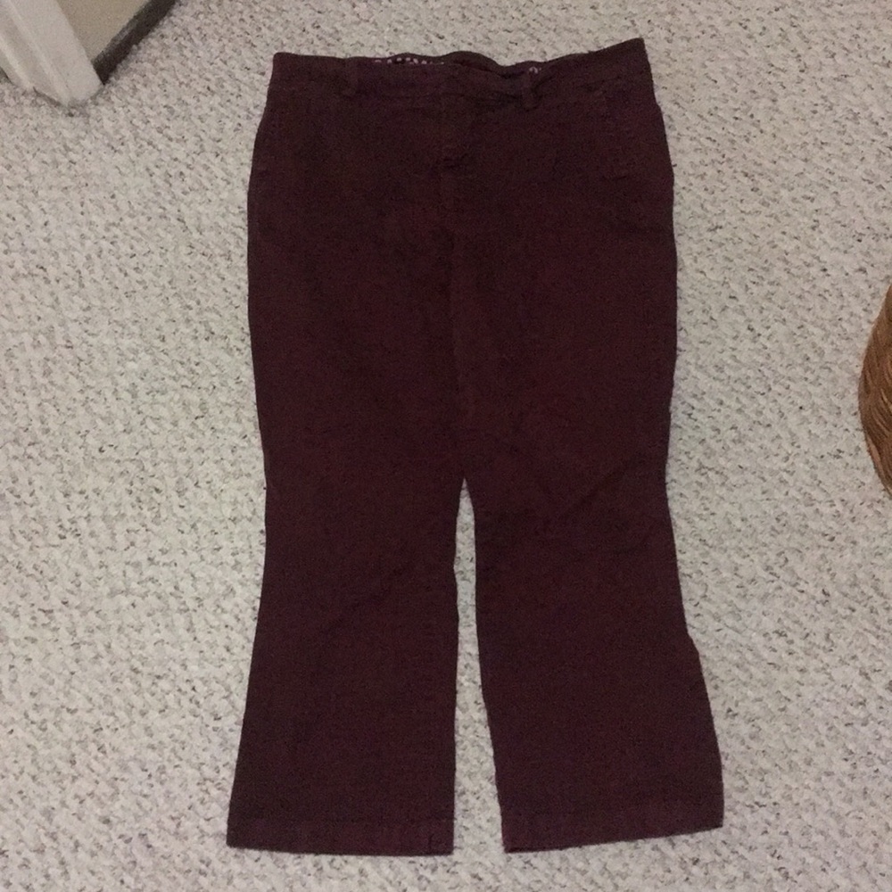 J crew purple pants